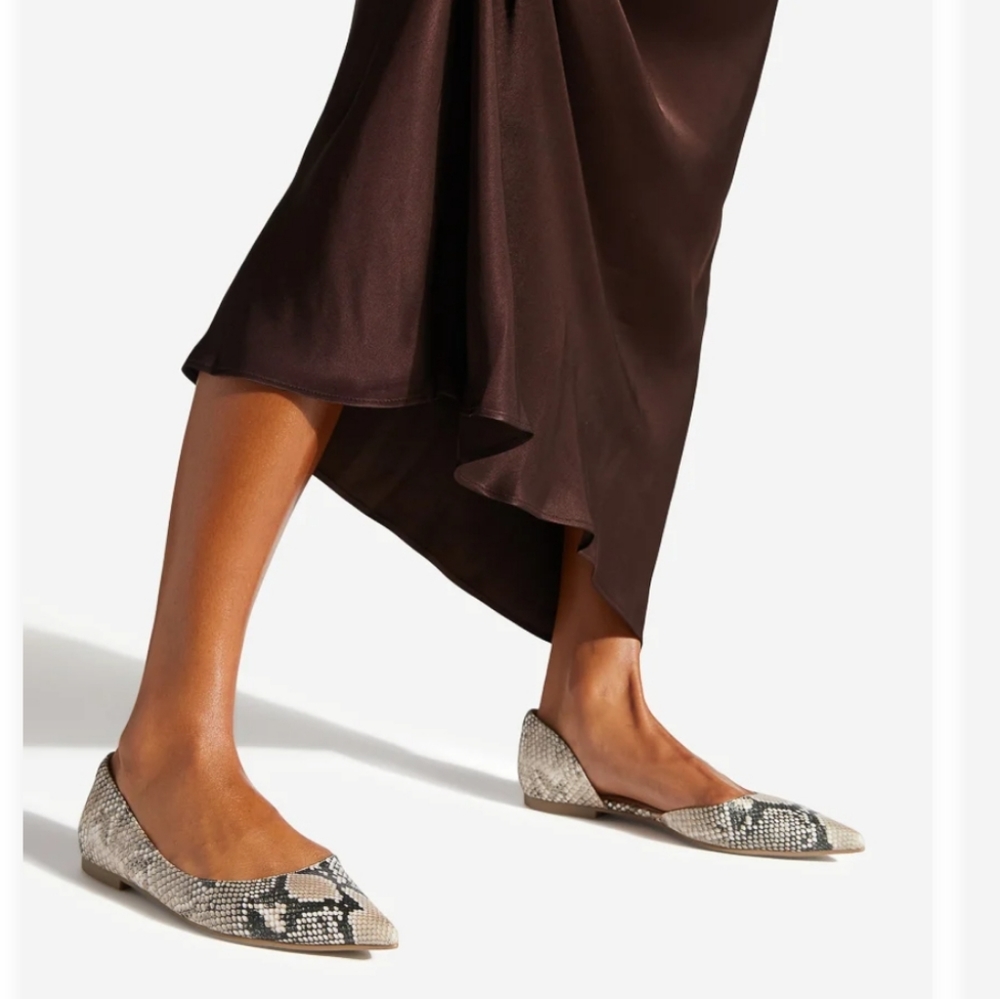 NIB Pointed toe snake print flats